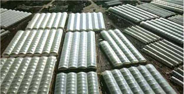Greenhouse Poly Films