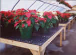 Greenhouse Benches-A-V Greenhouse Bench Tops