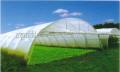 AT High Tunnel Greenhouse