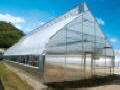 Natural Ventilation Greenhouse
