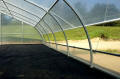PT-30 Greenhouses