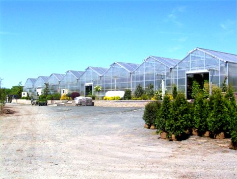 MT Peaked Roof Greenhouses