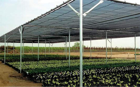 shade sun houses stopper nursery structure galvanized gothicarchgreenhouses greenhouse commercial custom steel greenhouses valuable protect patio scorching brutal tender plants