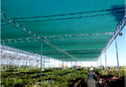 W-Truss Shade System