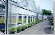 Retractable Roof Greenhouse