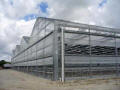 Conventional A-Frame Greenhouse