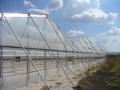A-Frame Rafter Greenhouse