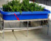 Stand for Aquaponic growing bed