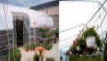 Bench-Mart SR Greenhouses