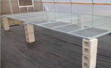 Greenhouse Benches top