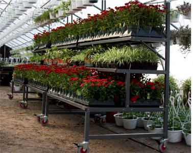 Greenhouse Benches