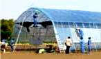 BK Greenhouses