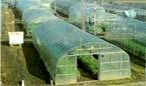 BK Greenhouses