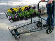 Garden center & Shopping carts