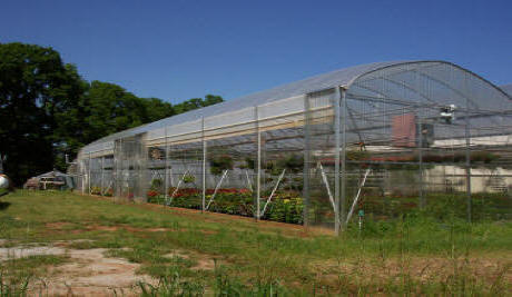 Classic Greenhouse
