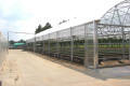 Classic Greenhouse