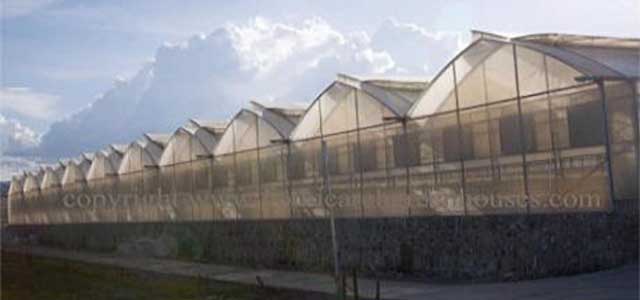 commercial greenhouses-multi greenhouse kits.greenhouse supplies