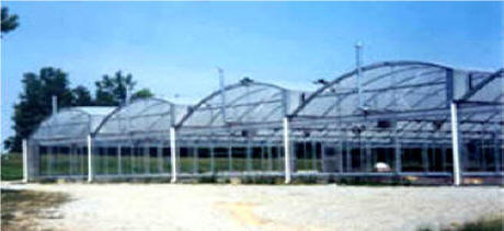 'Free Air' Series 5000 Greenhouses