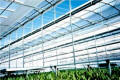 'Free Air' Series 5000 Greenhouses