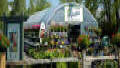 Garden Mart Greenhouses
