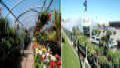 Garden Mart Greenhouses