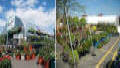 Garden Mart Greenhouses