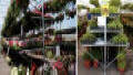 Garden Mart Greenhouses