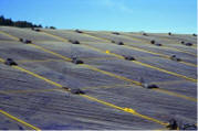 Environmental Covers-Griffolyn Covers