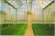 AT-Greenhouse Growing Systems