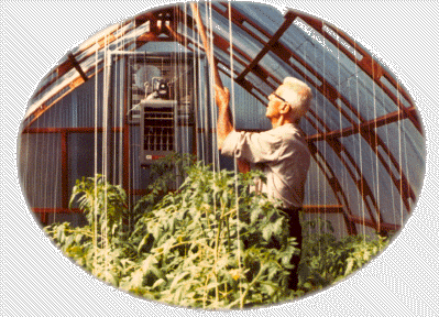Gothic arch Greenhouses
