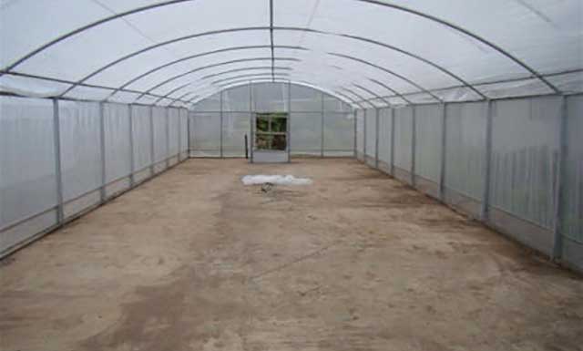 Insect Screens Greenhouses-Copyright by Gothic Arch Greenhouses