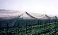 Insect Screens
