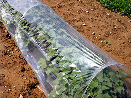Low Tunnels-Hoop Supported Row Covers