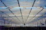 Retractable Roof -Curtain Greenhouse Systems