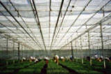 Retractable Roof -Curtain Greenhouse Systems