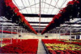 Retractable Roof -Curtain Greenhouse Systems