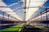 Retractable Roof -Curtain Greenhouse Systems