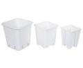 Square Plastic Pots