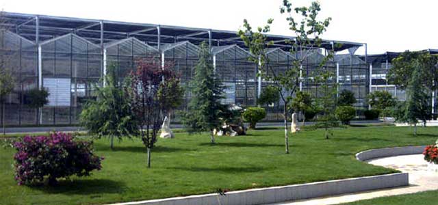 Range Greenhouses â Commercial Greenhouse Supplies greenhouse planting plans Range Greenhouses â Commercial Greenhouse Supplies greenhouse planting plans