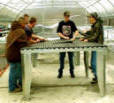 greenhouse Bench System