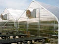 Retail Mart Greenhouse
