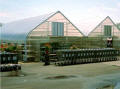 Retail Mart Greenhouse