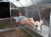 riga greenhouse Accessories