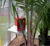 Greenhouse Heater