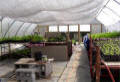 Aluminet Shade Cloth