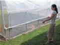 Solar star Small "Gothic" Greenhouses
