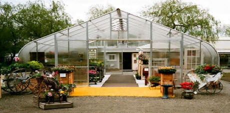Solarstar Large "Gothic" Greenhouses