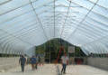 Solarstar Large "Gothic" Greenhouses