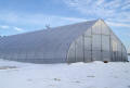 Solarstar Large "Gothic" Greenhouses