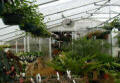 Solarstar Large "Gothic" Greenhouses